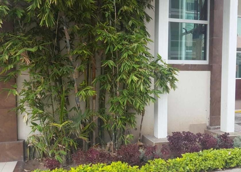 Aguascalientes Aguascalientes Property grounds