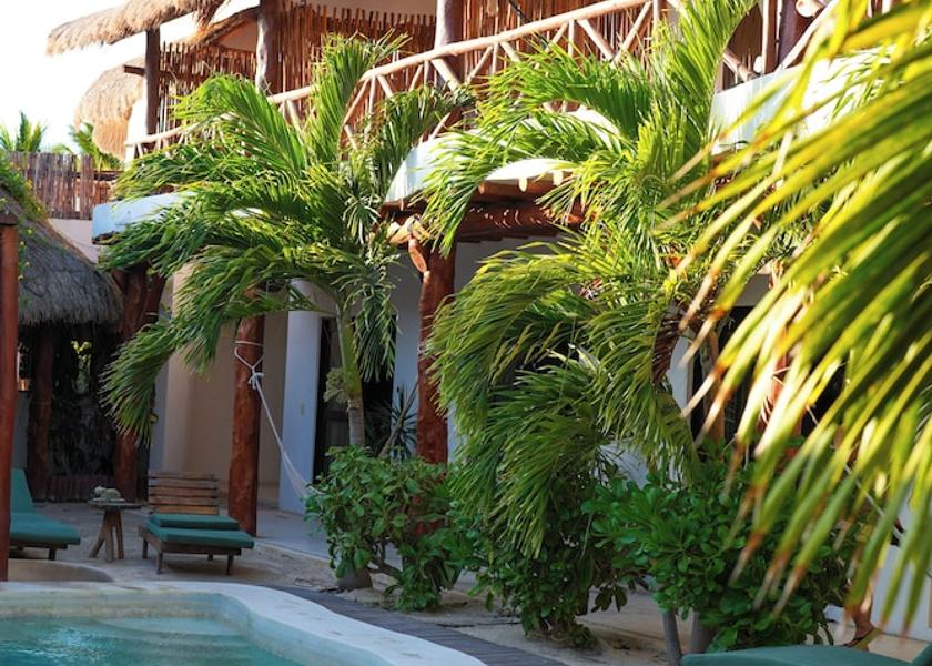 Quintana Roo Isla Holbox Terrace