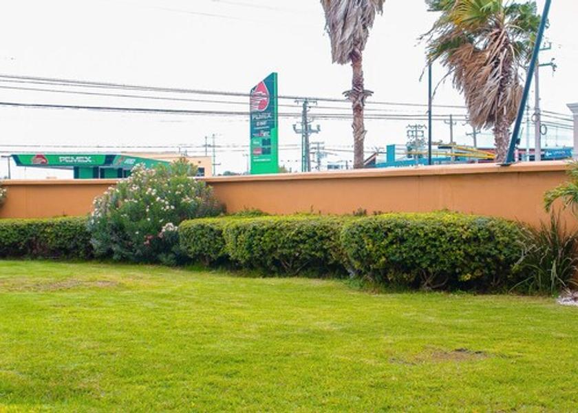 Tamaulipas Reynosa Garden