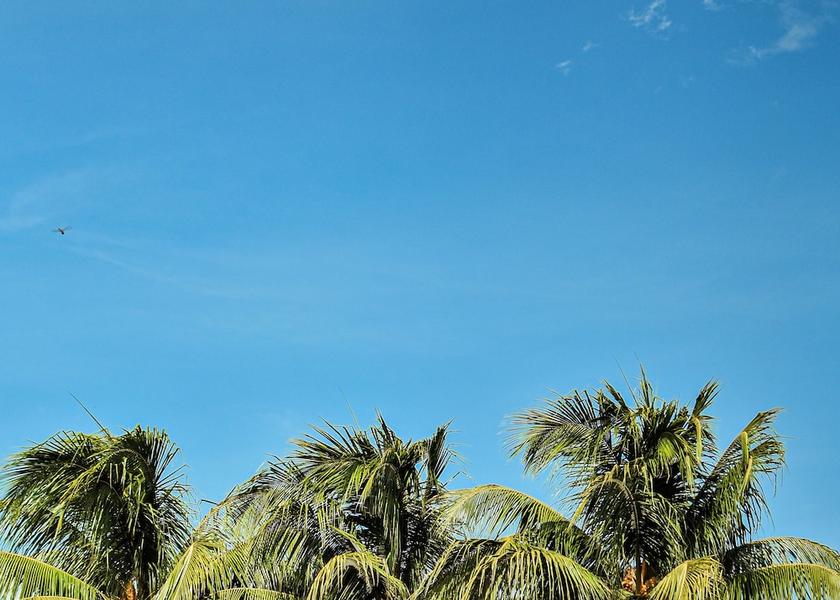 Managua Department Managua Exterior Detail