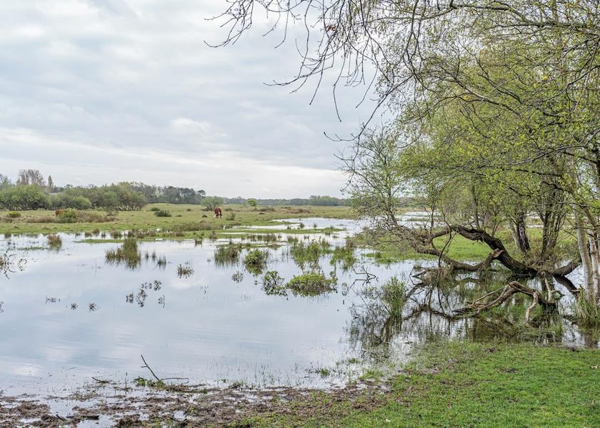 Schouwen-Duiveland Renesse Beach