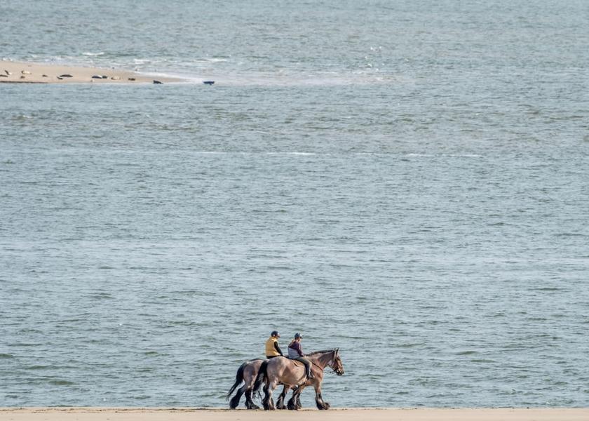 Schouwen-Duiveland Renesse Beach