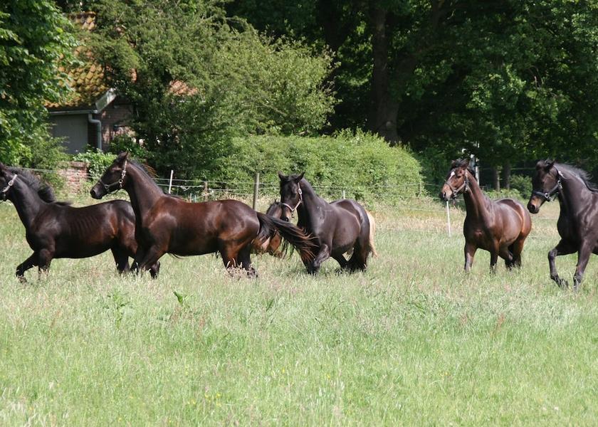 Land View from Property