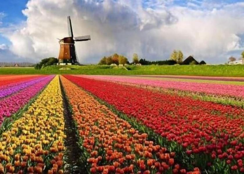 South Holland Sassenheim Exterior Detail