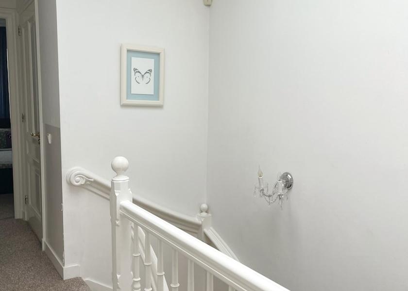 South Holland The Hague Reception