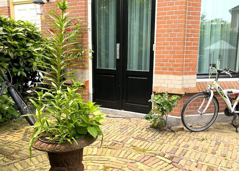 South Holland The Hague Exterior Detail