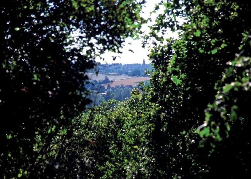 Limburg Arcen View from Property