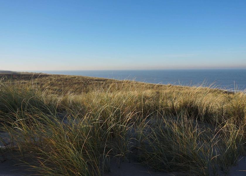 South Holland Noordwijk View from Property