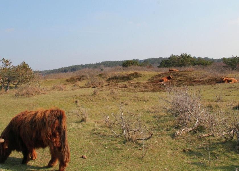 North Holland Zandvoort View from Property