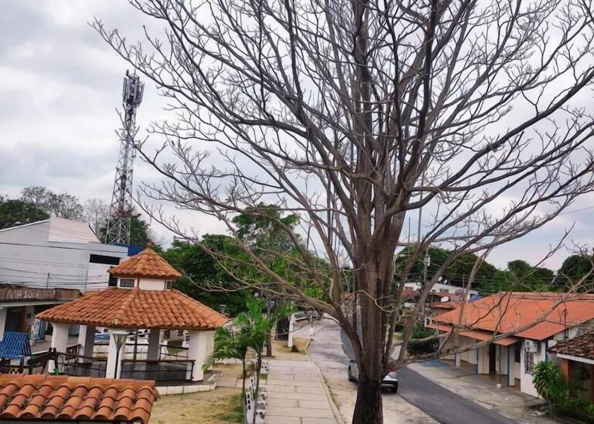 Panamá Oeste Province San Carlos Exterior Detail