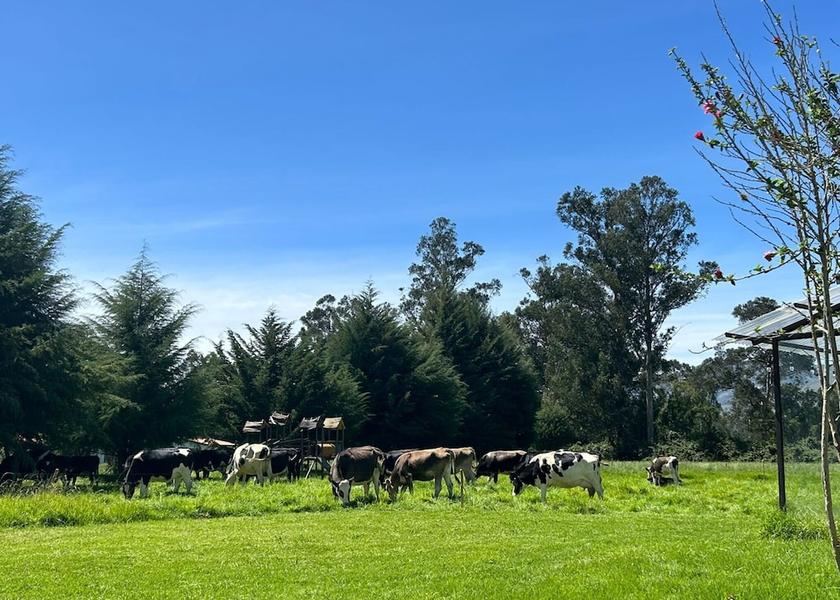 Cajamarca (region) Cajamarca Exterior Detail