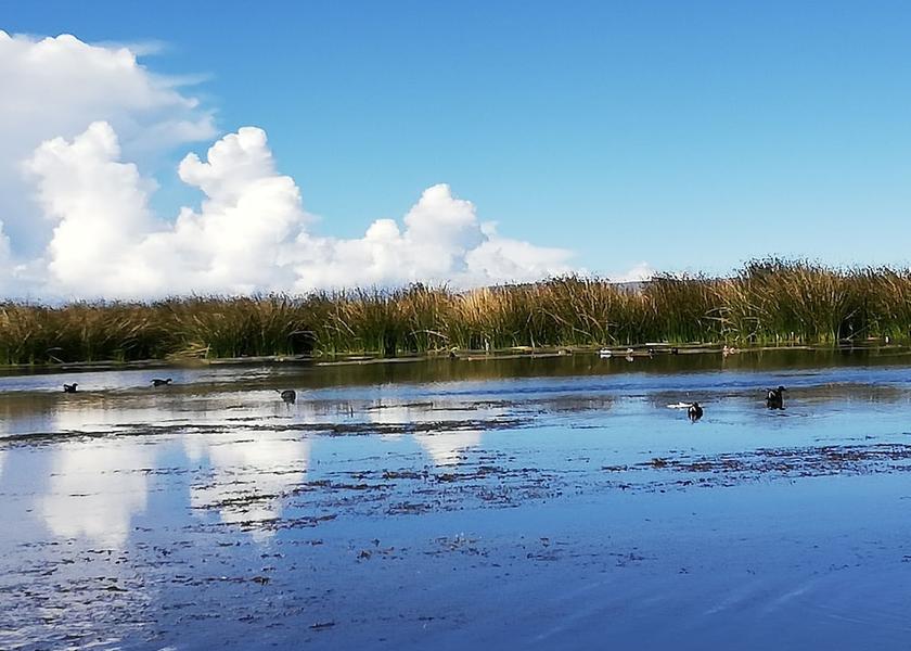 Puno (region) Puno Marina