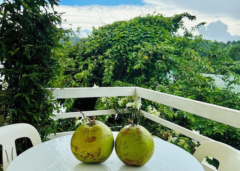 Mimaropa Taytay Terrace
