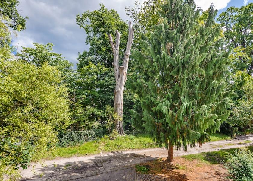 East Pomeranian Voivodeship Sopot Exterior Detail