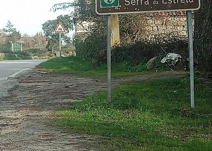 Guarda Celorico da Beira Exterior Detail