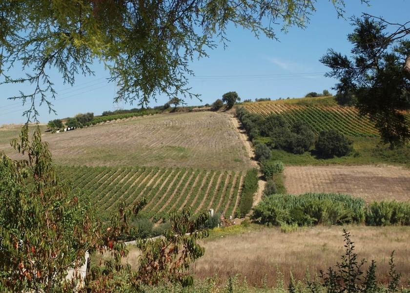  Alenquer View from Property