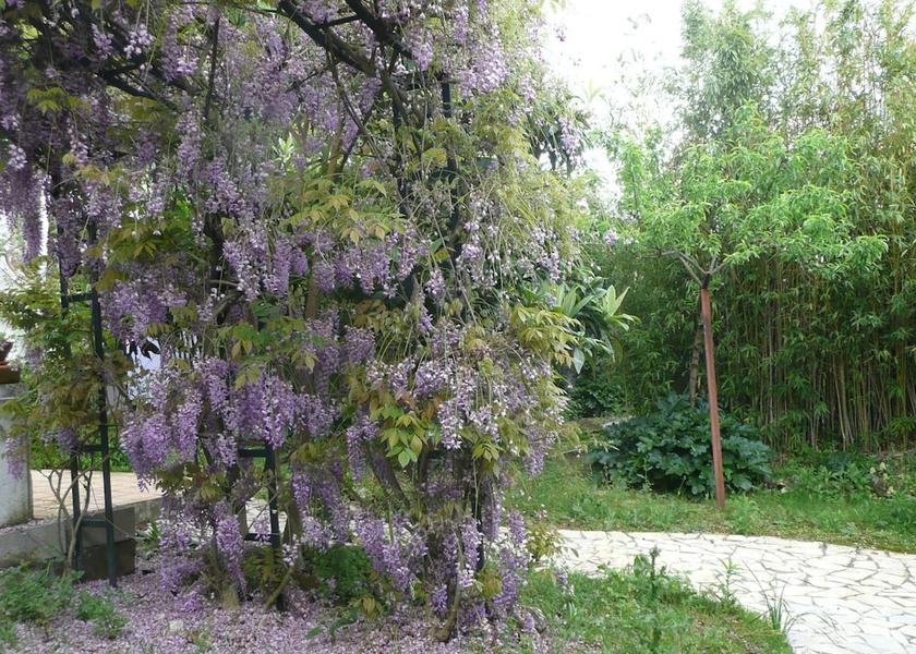 Santarém Tomar Garden