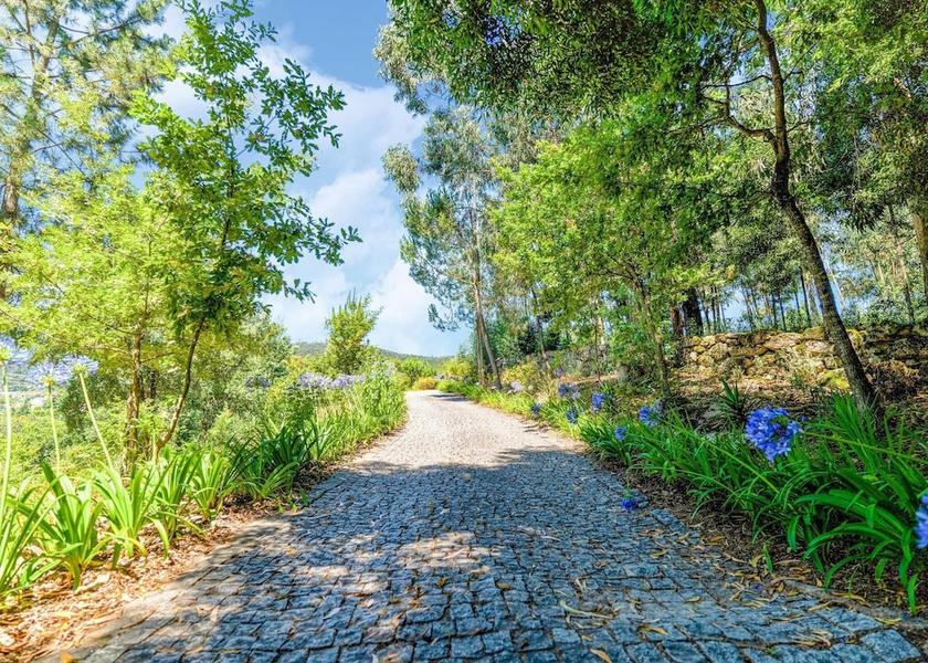 Norte Penafiel View from Property