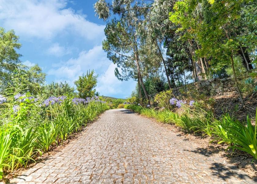Norte Penafiel View from Property