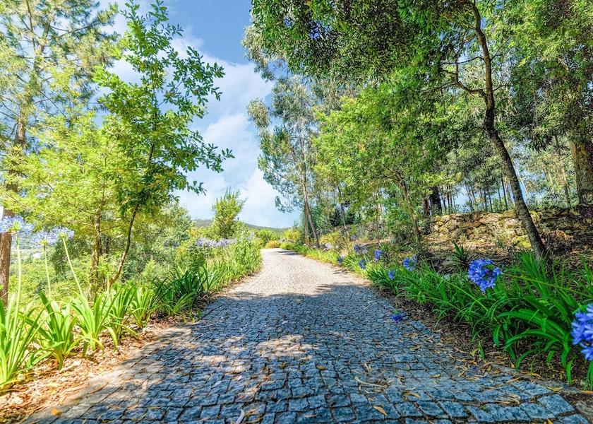 Norte Penafiel View from Property