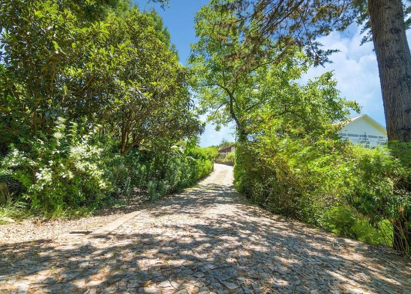 Norte Penafiel View from Property