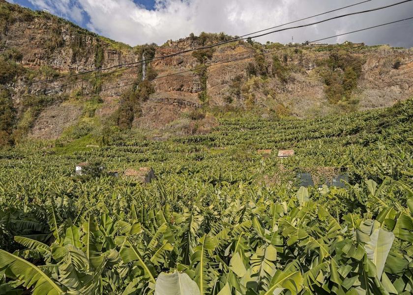Madeira Region Ponta do Sol Exterior Detail