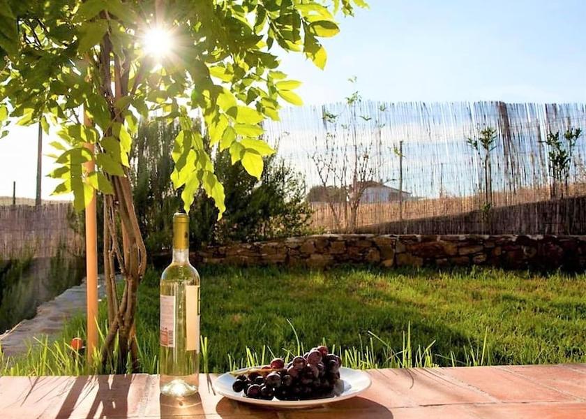 Beja Mertola View from Property