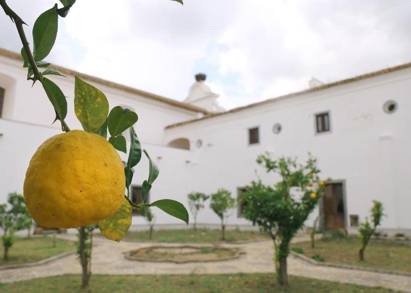 Évora Reguengos de Monsaraz Exterior Detail