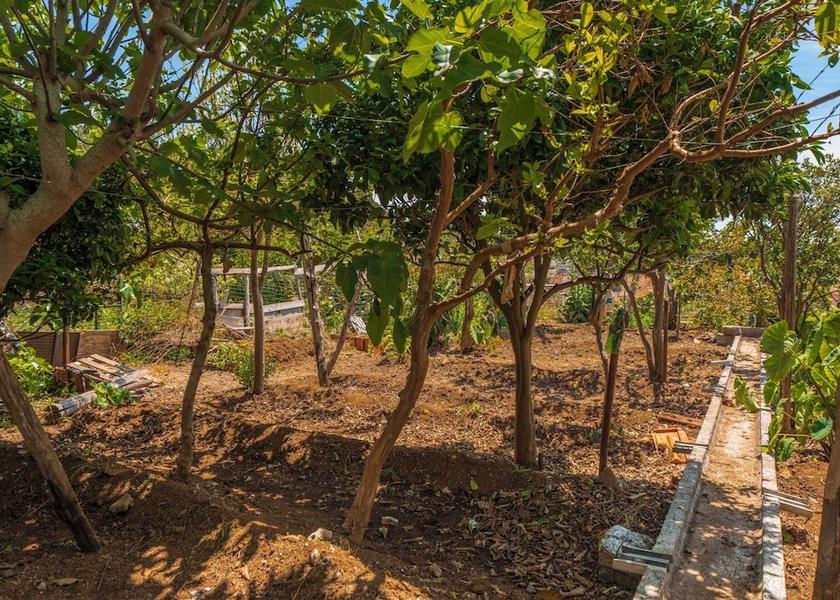 Madeira Ponta do Sol Exterior Detail