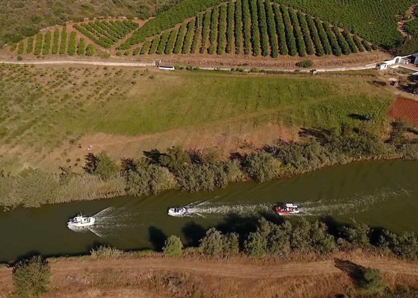 Faro District Albufeira Aerial View