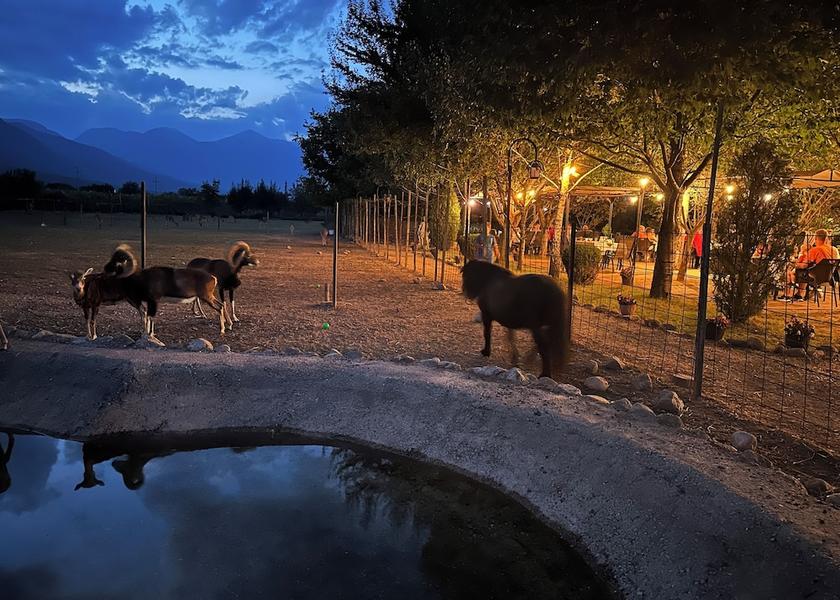 Kosovo Pec Exterior Detail