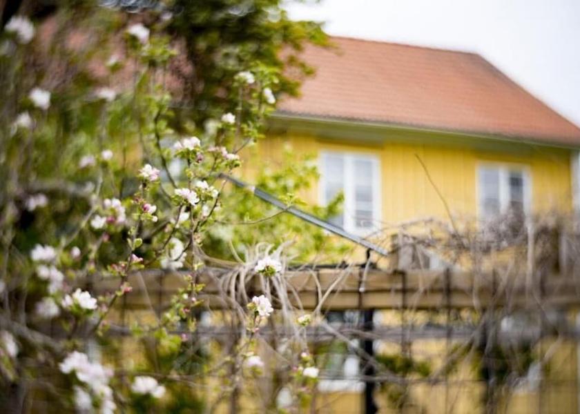 Kalmar County Vastervik Facade