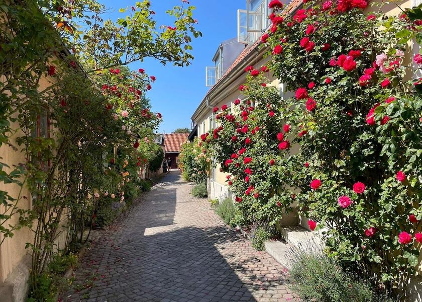 Gotland County Visby Exterior Detail