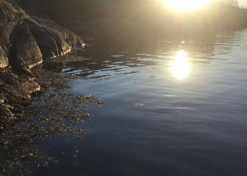Västra Götaland County Marstrand Exterior Detail