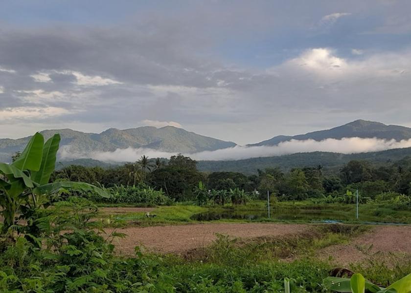 Chiang Mai Province Mae Rim Facade