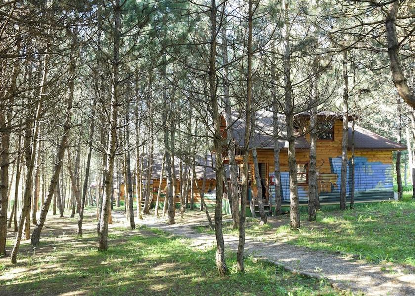 Bolu Province Mengen Facade