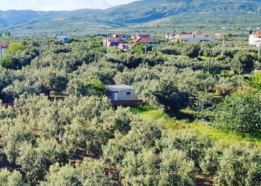 Tekirdag Şarköy Land view from property