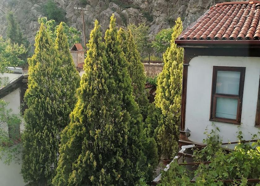 Amasya Province Amasya Exterior Detail