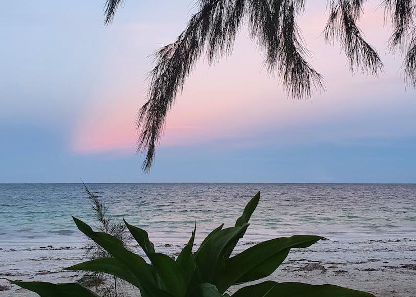 Unguja Kusini Region Bwejuu Exterior Detail