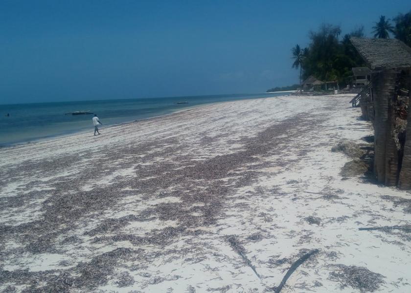 Unguja South Region Michamvi Beach
