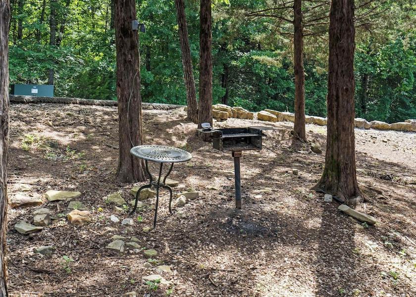 Missouri Branson West BBQ/picnic area
