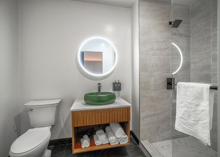California North Hollywood Bathroom