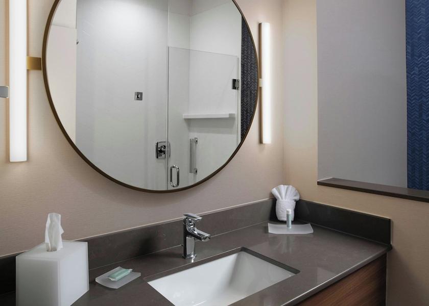 Texas DeSoto Bathroom