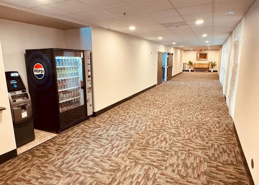 Minnesota Hibbing Reception