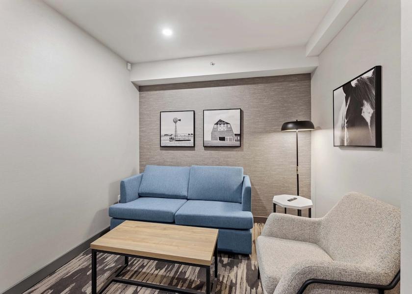 Texas Irving Living area