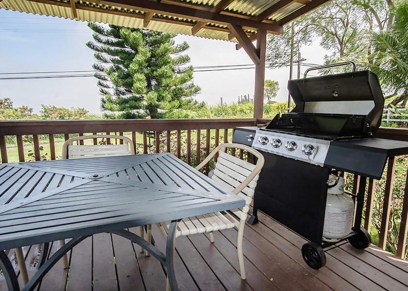 Hawaii Makawao Terrace