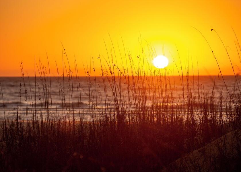 South Carolina Hilton Head Island Beach