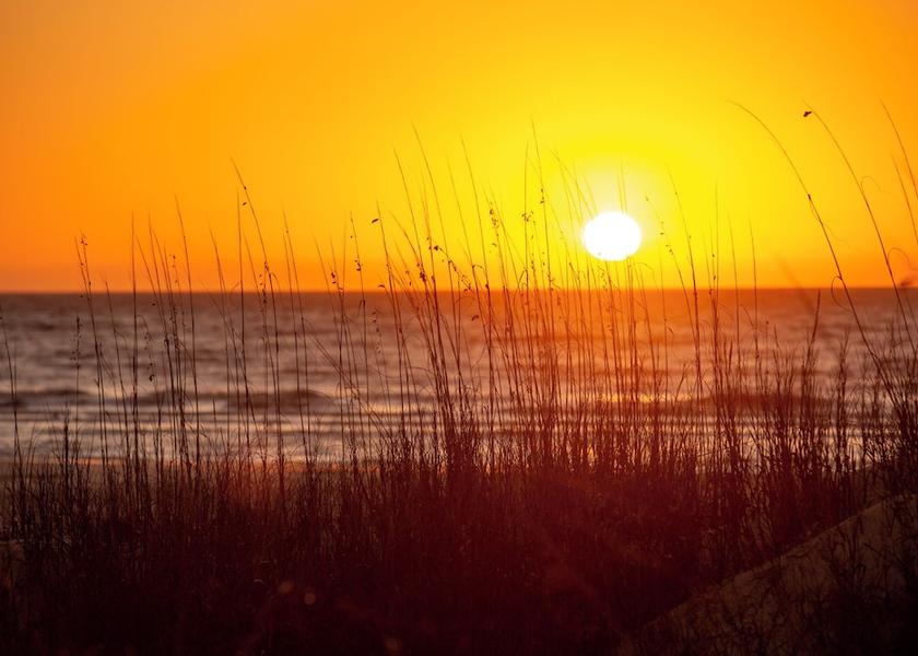 South Carolina Hilton Head Island Beach