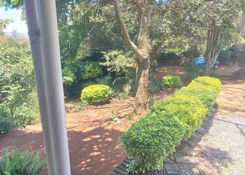 KwaZulu-Natal Pietermaritzburg Terrace