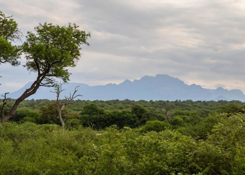 Limpopo Hoedspruit Room